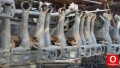 Oto Çıkma Parça / Toyota / C-HR Hybrid / Alt Takım / Arka Dingil / Çıkma Parça 