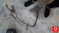 Oto Çıkma Parça / Fiat / Marea / Klima / Klima Borusu / Çıkma Parça 