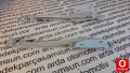Oto Çıkma Parça / Audi / A6 / Kaporta & Karoser / Kapı Menteşesi / Sıfır Parça 