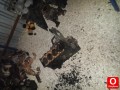 Oto Çıkma Parça / Peugeot / 206 / Motor / Komple Motor / Çıkma Parça 