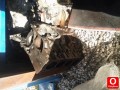 Oto Çıkma Parça / Citroen / Jumper / Motor / Motor (komple) / Çıkma Parça 