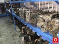 Oto Çıkma Parça / Renault / Master / Motor / Silindir Kapağı / Çıkma Parça 