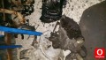 Oto Çıkma Parça / Peugeot / 306 / Şanzıman / Şanzıman Komple / Çıkma Parça 