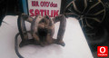 Oto Çıkma Parça / Toyota / Yaris / Motor / Emme Manifoldu / Çıkma Parça 