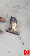 Oto Çıkma Parça / Hyundai / Elantra / Motor / Motor (komple) / Çıkma Parça 
