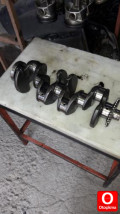 Oto Çıkma Parça / Volkswagen / Passat / Motor / Krank / Çıkma Parça 