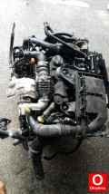 Oto Çıkma Parça / Citroen / Berlingo / Motor / Silindir Kapağı / Çıkma Parça 