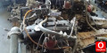 Oto Çıkma Parça / Renault / R 12 / Motor / Motor (komple) / Çıkma Parça 
