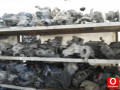 Oto Çıkma Parça / Volvo / S40 / Filtre / Hava Filtresi Kutusu / Çıkma Parça 