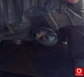 Oto Çıkma Parça / Honda / City / Egzoz / Komple Egzoz / Çıkma Parça 