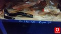 Oto Çıkma Parça / Honda / City / Kaporta & Karoser / Kapı Menteşesi / Çıkma Parça 