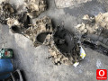 Oto Çıkma Parça / Fiat / Ducato / Şanzıman / Şanzıman Komple / Çıkma Parça 