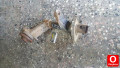 Oto Çıkma Parça / Opel / Ascona / Alt Takım / Porya / Çıkma Parça 