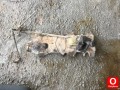Oto Çıkma Parça / Fiat / Tempra / Vites / Vites Topuzu / Çıkma Parça 
