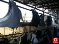 Oto Çıkma Parça / Honda / Civic / Kaporta & Karoser / Sağ Ön Çamurluk / Çıkma Parça 