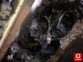 Oto Çıkma Parça / Peugeot / 306 / Şanzıman / Şanzıman Komple / Çıkma Parça 