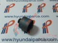 Oto Çıkma Parça / Hyundai / Accent / Kaporta & Karoser / Sol Arka Kapı / Sıfır Parça 