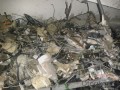 Oto Çıkma Parça / Honda / Civic / Kaporta & Karoser / Kapı Kilidi / Çıkma Parça 