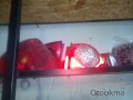 Oto Çıkma Parça / Volkswagen / Bora / Far & Stop / Sağ Arka Stop / Çıkma Parça 