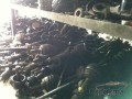 Oto Çıkma Parça / Honda / Civic / Alt Takım / Aks / Çıkma Parça 
