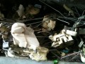 Oto Çıkma Parça / Honda / Civic / Kaporta & Karoser / Kapı Kilidi / Çıkma Parça 