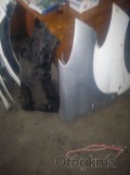 Oto Çıkma Parça / Peugeot / 206 / Kaporta & Karoser / Sağ Ön Çamurluk / Çıkma Parça 
