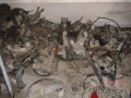 Oto Çıkma Parça / Honda / Civic / Alt Takım / Taşıyıcı / Çıkma Parça 