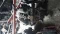 Oto Çıkma Parça / Jeep / Wagoneer / Motor / Motor (komple) / Çıkma Parça 