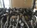 Oto Çıkma Parça / Bmw / 1 Serisi / Direksiyon / Direksiyon Kutusu / Çıkma Parça 