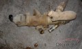Oto Çıkma Parça / Opel / Combo / Motor / EGR / Çıkma Parça 