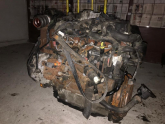 Oto Çıkma Parça / Ford / Transit Connect / Motor / Motor (komple) / Çıkma Parça 