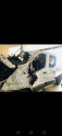 Ford Transit Çıkma Yedek Parça