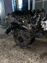 Oto Çıkma Parça / Ford / Focus / Motor / Motor (komple) / Çıkma Parça 