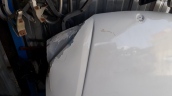 Oto Çıkma Parça / Fiat / Palio / Kaporta & Karoser / Kaput / Çıkma Parça 