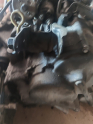 Oto Çıkma Parça / Honda / Civic / Şanzıman / Şanzıman Komple / Çıkma Parça 