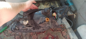 Oto Çıkma Parça / Hyundai / Getz / Far & Stop / Sol Ön Far / Çıkma Parça 