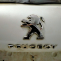 Peugeot 2008 bagaj arması
