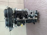 Oto Çıkma Parça / Ford / C-Max / Motor / Motor (komple) / Çıkma Parça 