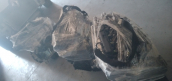 Oto Çıkma Parça / Peugeot / Boxer / Motor / Motor (komple) / Çıkma Parça 