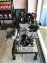 Oto Çıkma Parça / Mercedes / Sprinter / Motor / Motor (komple) / Çıkma Parça 