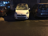 Oto Çıkma Parça / Citroen / Berlingo / Kaporta & Karoser / Marşpiyel Sacı / Çıkma Parça 