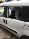 Hurda Belgeli Araçlar / Fiat / Doblo