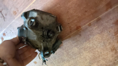 Oto Çıkma Parça / Honda / Accord / Motor / Distribütör / Çıkma Parça 