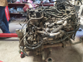 Oto Çıkma Parça / Ford / C-Max / Motor / Motor (komple) / Çıkma Parça 