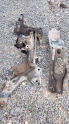 MAZDA MOTOR TRAVERS