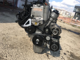 Oto Çıkma Parça / Volkswagen / Golf / Motor / Motor (komple) / Çıkma Parça 