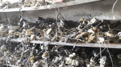 HONDA KAPI KİLİTLERİ.