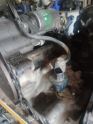 Oto Çıkma Parça / Honda / Civic / Şanzıman / Şanzıman Komple / Çıkma Parça 