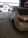 Hurda Belgeli Araçlar / Toyota / Corolla