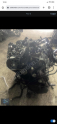 Oto Çıkma Parça / Audi / A5 / Motor / Motor (komple) / Çıkma Parça 